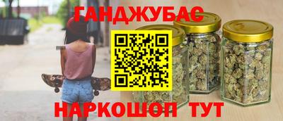 индика Тулун