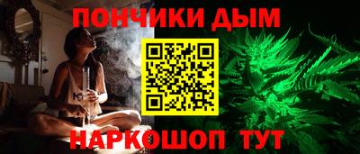 индика Тулун