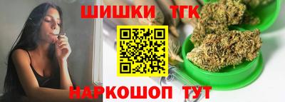 индика Тулун