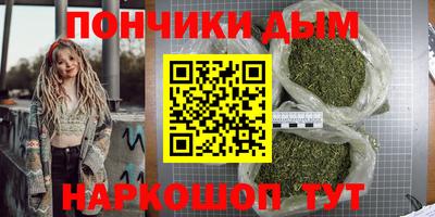 индика Тулун