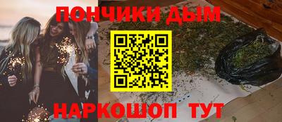 индика Тулун