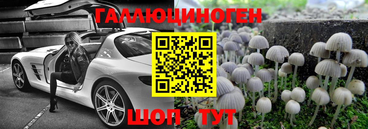 Галлюциногенные грибы ЛСД  Вход с VPN  наркота  Псилоцибиновые грибы Magic Shrooms  Большой Камень 