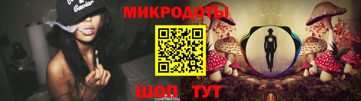 Галлюциногенные грибы прущие грибы Большой Камень