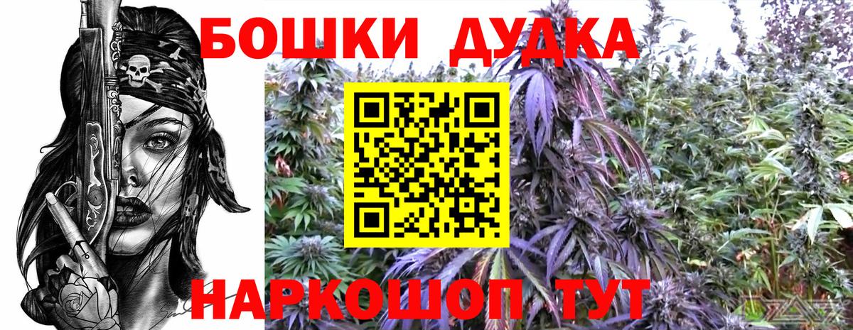 МАРИХУАНА планчик  Марихуана MAZAR  Большой Камень  Вход с VPN 